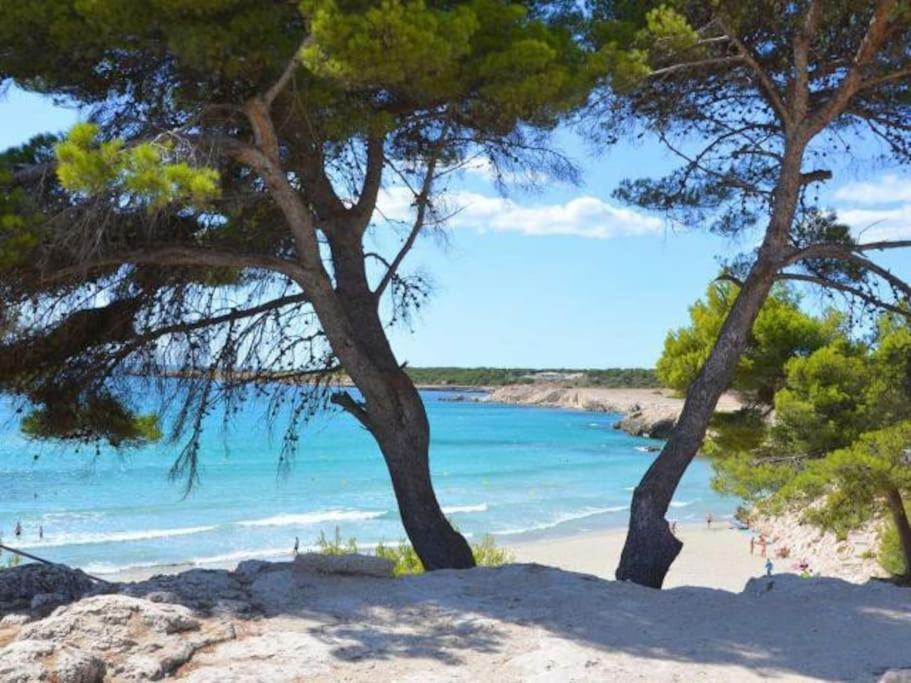 Maison Planier, Havre De Paix Proche Mer Et Centre Sausset-les-Pins Exterior foto